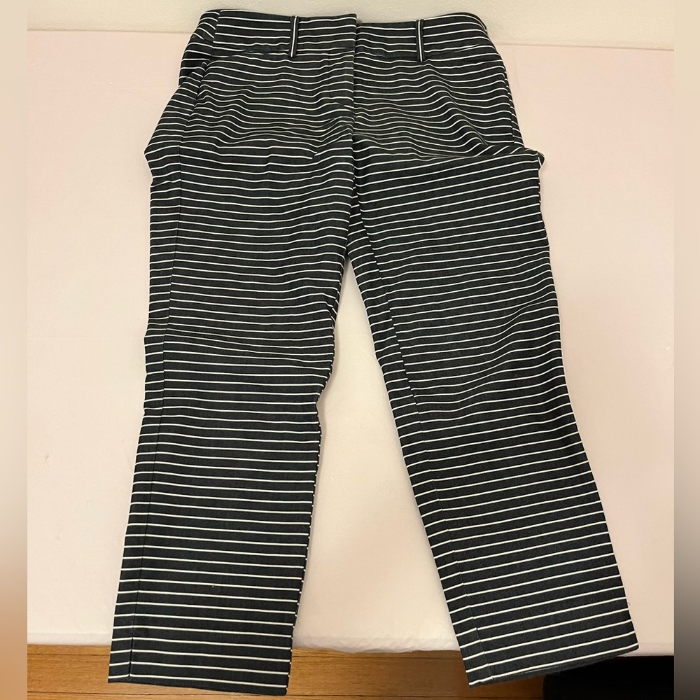 LOFT 2P Blue & White Striped Work Pants